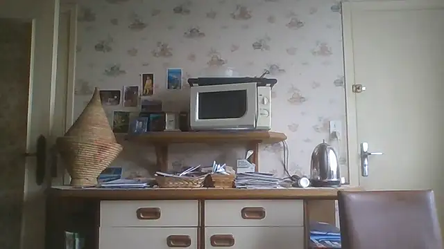 gegevincent5 webcam