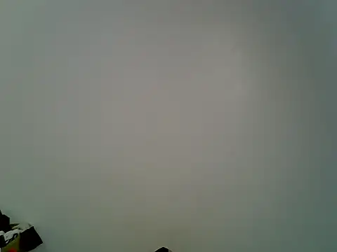 Calmfolower webcam