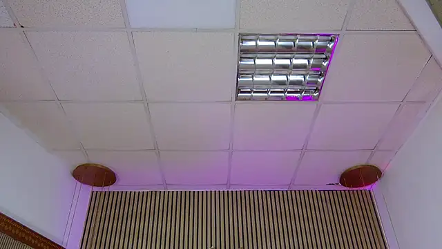 PlayfulShow
