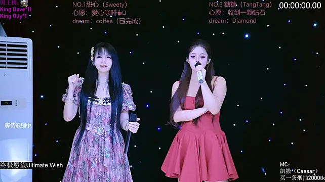 CCTW-100 webcam