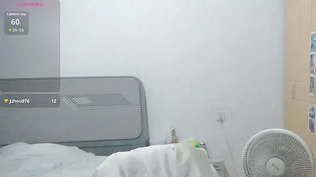 fanfan-FF webcam