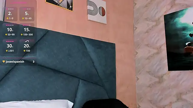 LaurentFerrer webcam