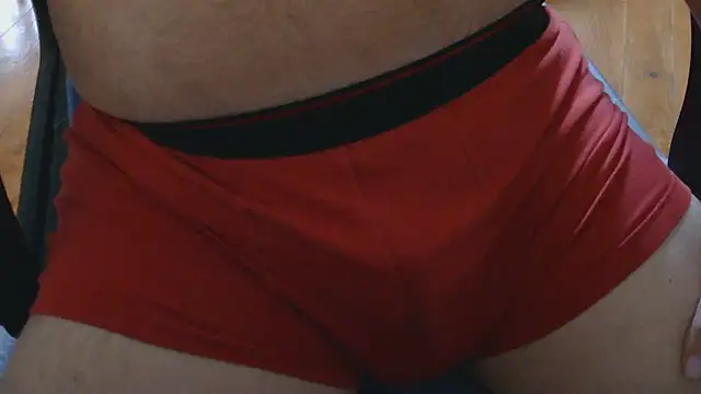 fr3nchkiss webcam