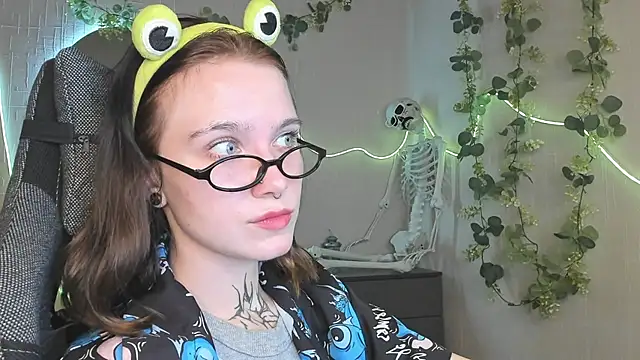 Elastikisss webcam