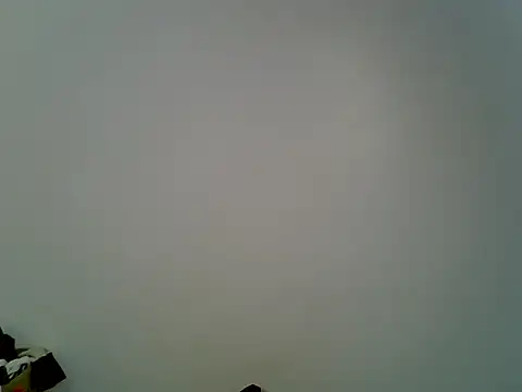 Calmfolower live cam preview