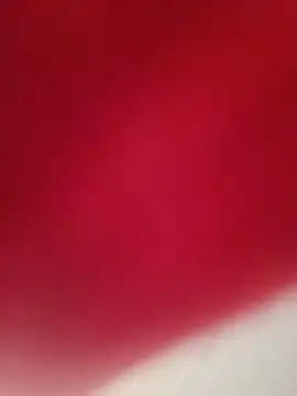 NatybeeZa