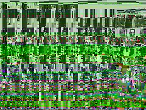 HansenHa webcam