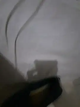 amatapacheco711 webcam