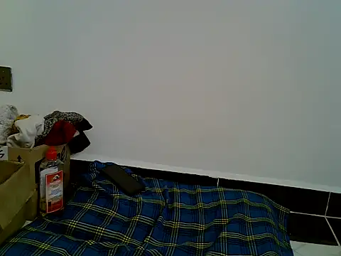 Calmfolower webcam