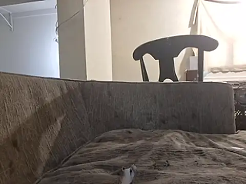 247Srokin webcam