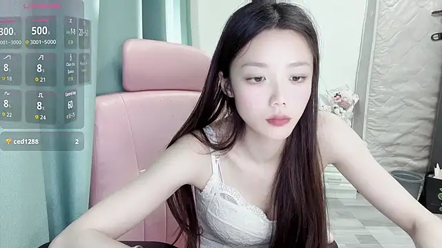 Puff-521 webcam