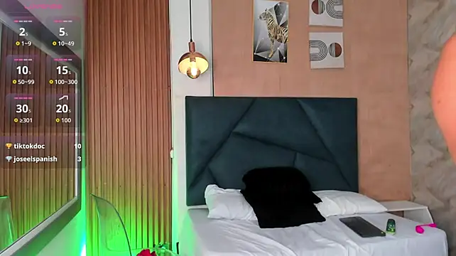 LaurentFerrer webcam