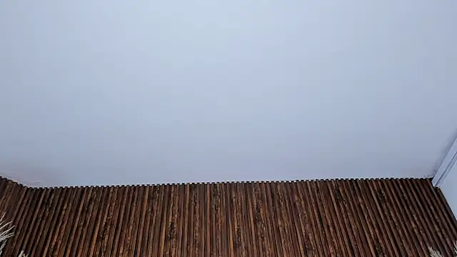 _Cherry_fox live cam preview