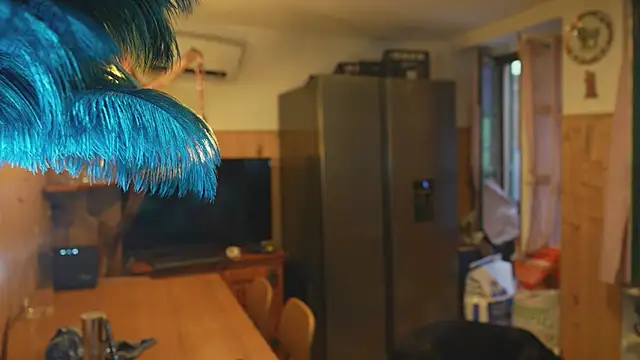 VanessaDoyle webcam