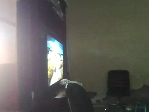 noiadosub webcam