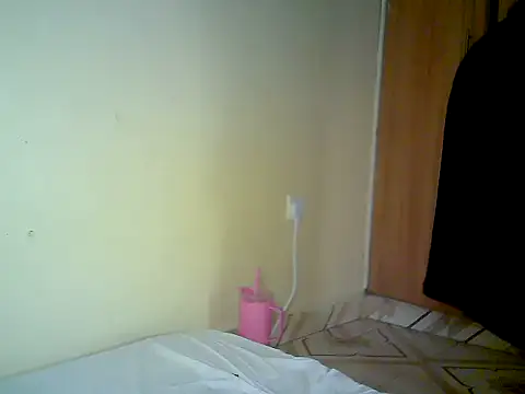 Snow_eye webcam