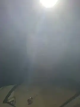 hoa_mai live cam preview