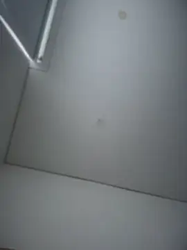 Saracalderon webcam
