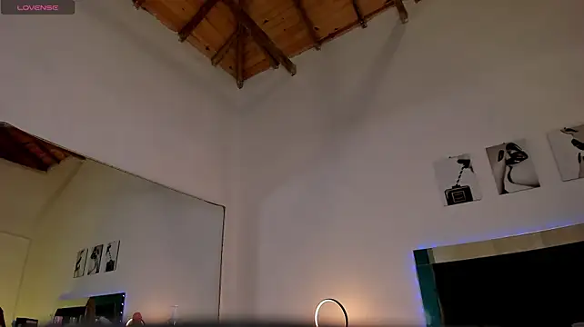 maxpower830 webcam