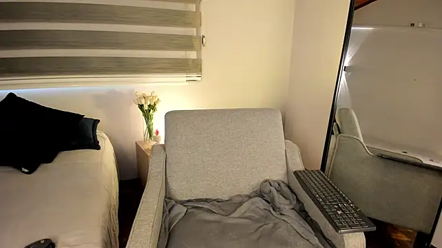 MERIDA_TAYLOR webcam