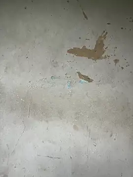 AngelaZamera webcam