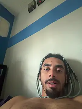 shadespider webcam