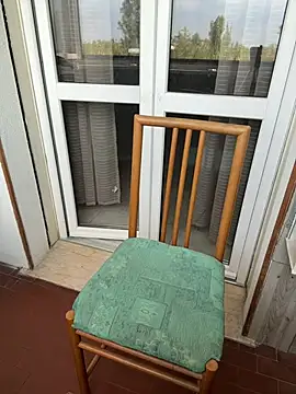 F0X89 webcam