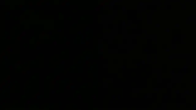 Logan_jake