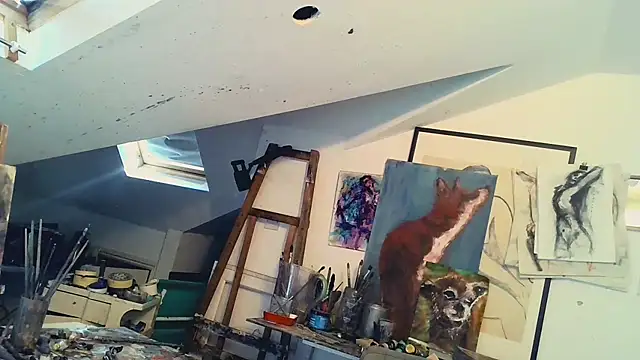 mista_sista_fista webcam