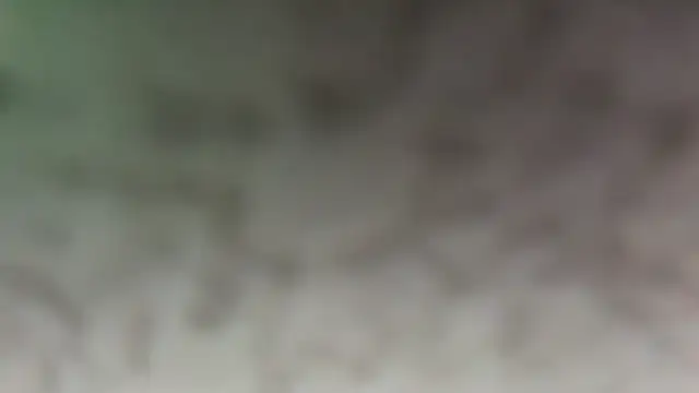 southFLJason305 webcam