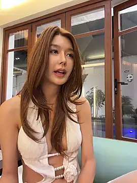 BBi-0329 webcam