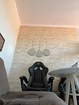 fire-vex webcam