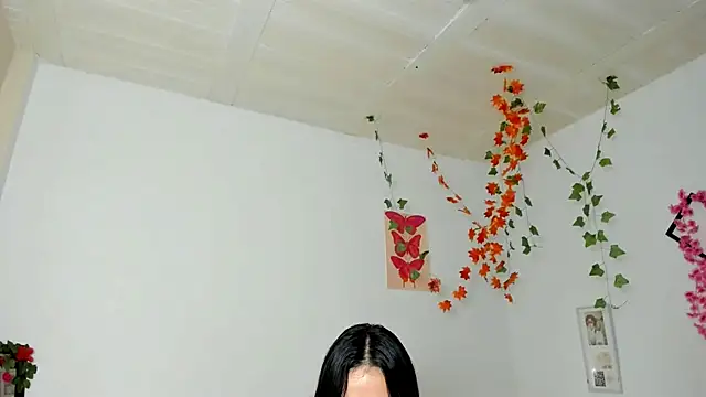 _emycor webcam
