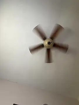 Highfrog1 webcam