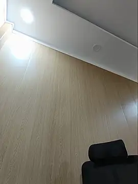 Fanritar webcam