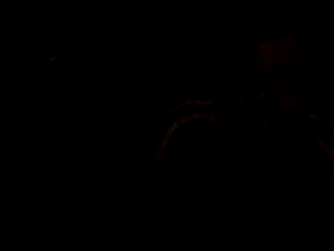 cocoluvx_1