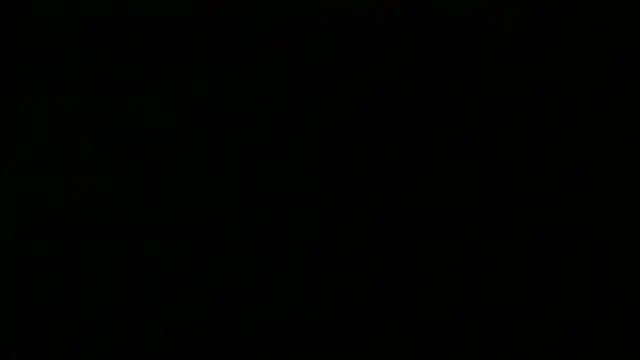 Logan_jake