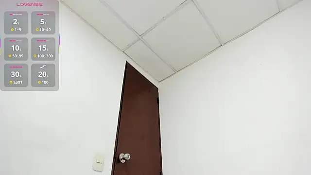 Lianfox_1 webcam