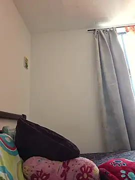 IrisBound webcam