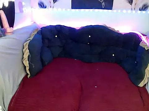 Demilame webcam