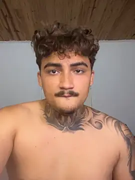 picasso_25CM webcam