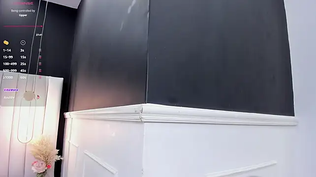 megann_hilton webcam