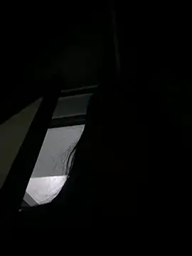 MyAml webcam