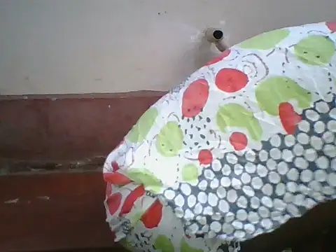 Dizzydose webcam