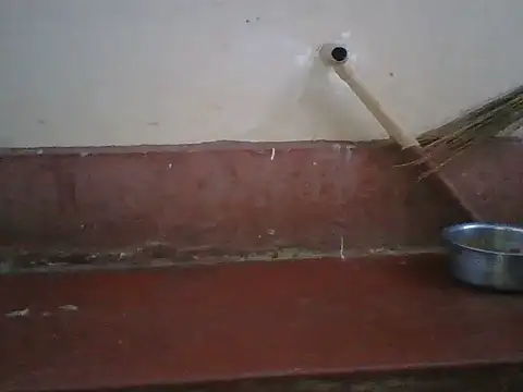 Dizzydose webcam