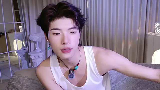 RenZeng webcam