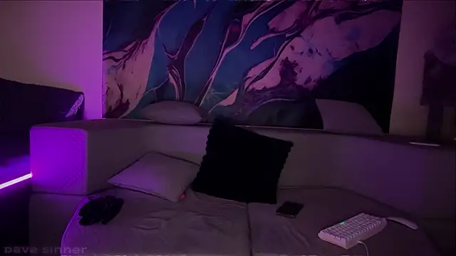 davesinner webcam