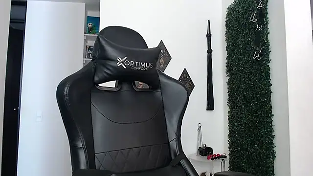 Fleurmeyer79 webcam