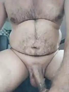 Pitercom webcam