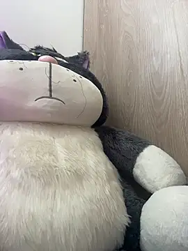 Taylor__0 webcam